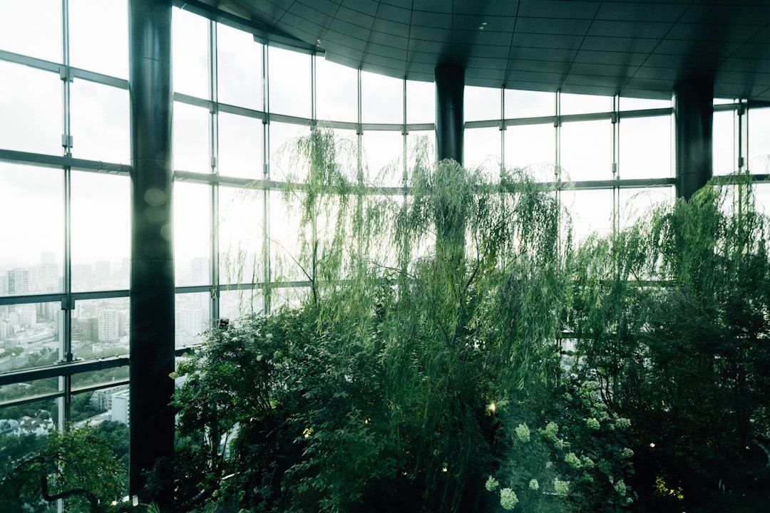 Biophilic Design Painting in LA: Nature's Touch for Your Home