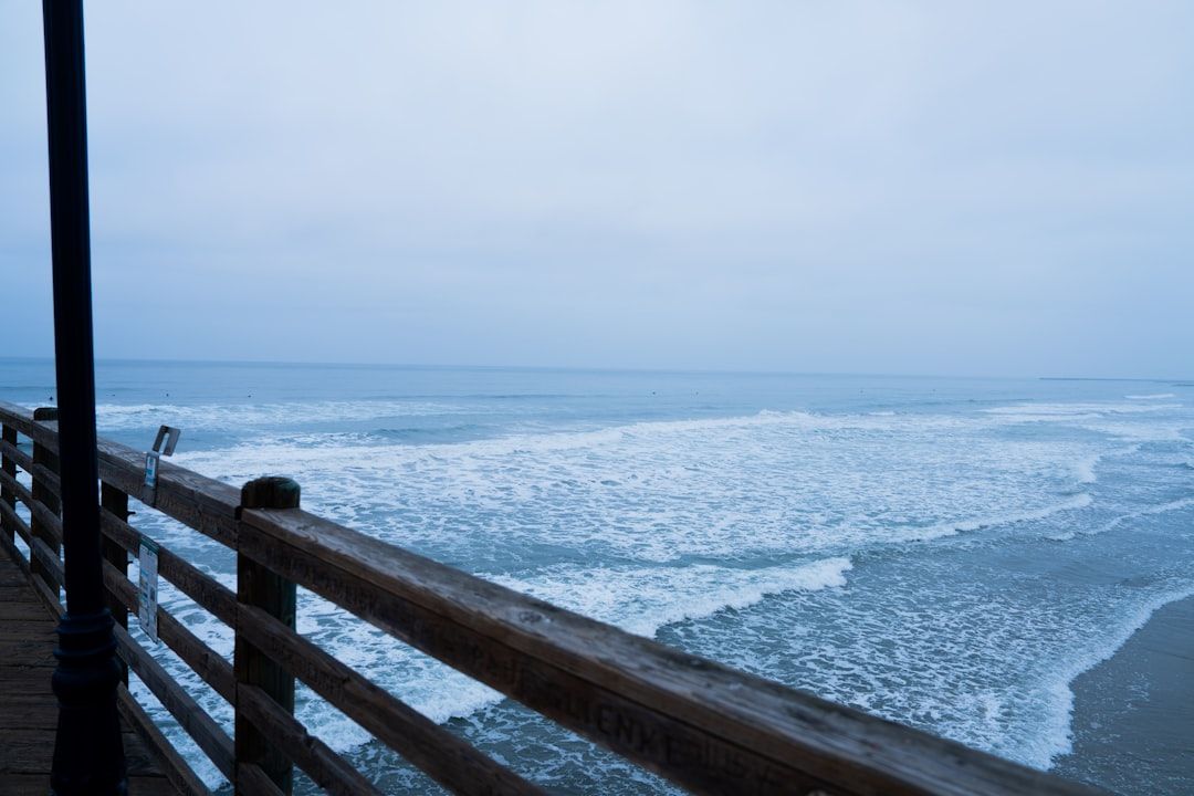 LA Deck Waterproofing: Wood vs. Composite Costs & Durability